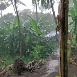 The rain shower caught us by surprise!