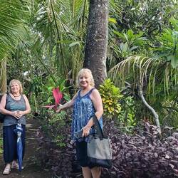 The foliage was breat-taking!!