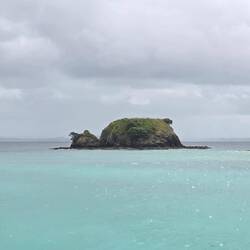 Hannah meint, dass dies ein Bär ist, der vor lauter Müdigkeit auf sein Gesicht ins Meer gefallen ist