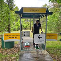 Reinigungsstation zum Schutz der Kauri-Bäume