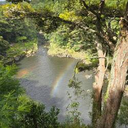 Mit ein bisschen Rainbow...