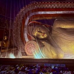 The lying down Budda with flower offering