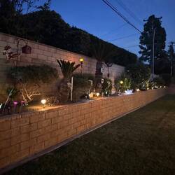Beautiful Yard (as always) at Matt & Laura's