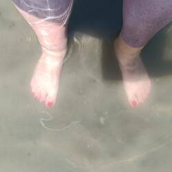 Es hatte viele kleine Krebse im Wasser