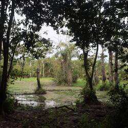 ... leider sind keine Tiere zu sehen...