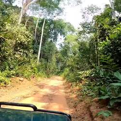 Auf dem Weg zur Dzanga Bai