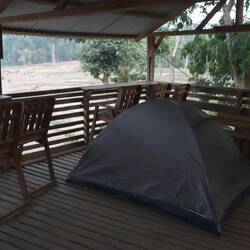 Das Zelt steht direkt über den Köpfen der Elefanten