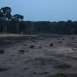 ... zur 'blue hour' ist schließlich alles blau