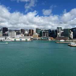 Wellington skyline