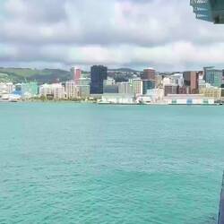 Arriving in Wellington