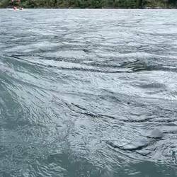 Unsere Kajaktour am Ende der Welt im Doubtful Sound
