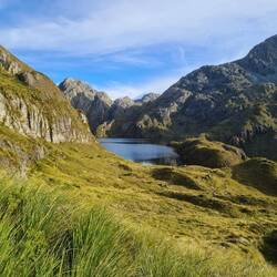 Der Routeburn Track hatte nicht nur schöne Berge und Seen zu bieten...