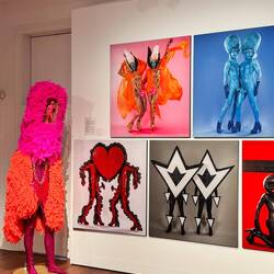 Kulturschock in Albany....