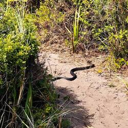 Ooops - da will noch jemand zum Strand...