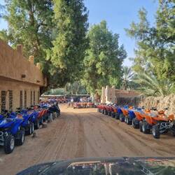 Quads, ich seh nur Quads