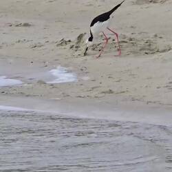 Extra für Jaro noch ein Nachtrag von gestern: Kai Iwi Lakes