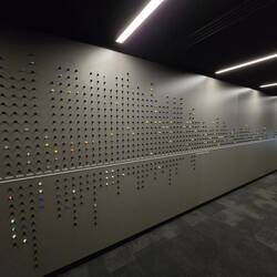 Die Spielbilanz der All Blacks und Black Ferns