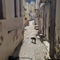 kleine labyrinthartige Gassen