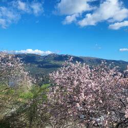 Wir genießen diese Aussicht.