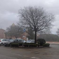 Mystische Stimmung, der Regen ist vorbei