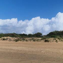 Übergang in die Dünenlandschaft