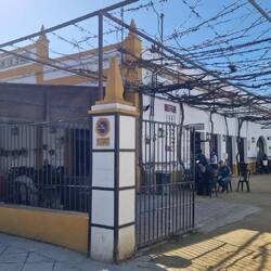 Weingarten und Tapas🤤