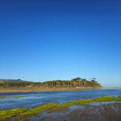 Crépuscule à papatowai