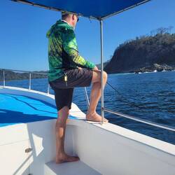 Und wieder versuchen