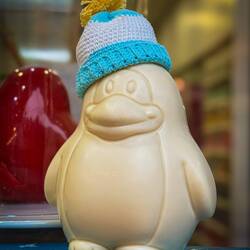 White chocolate penguin — Ushuaia, Argentina.