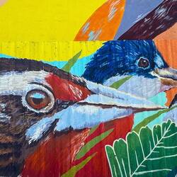 Birds of a feather — Ushuaia, Argentina.