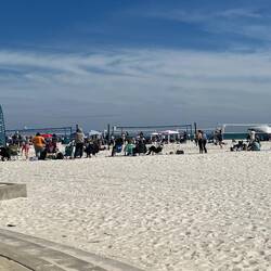 Volley Ball tournament at the Beach in Gulf Shores.