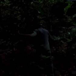 Auf dem Rückweg ist die Sonne bereits weg...