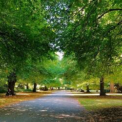 Jardin botanique avec son allée de Tilleuls