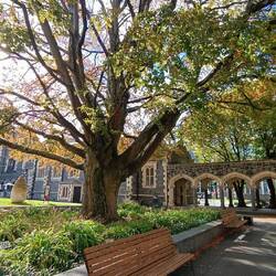 Ancienne université de Christchurch