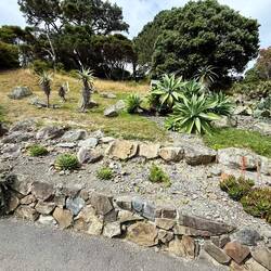 Morro Bay or Wellington Botnical Gardens? We could hardly tell!