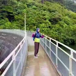 View from the top of the dam in Zealandia. Built in 1907