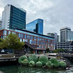 Waterfront walk - sea urchin sculpture and Wellington city skyline