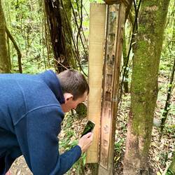 Chris checking for creepy crawlies in Zealandia.