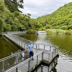 Over water walkway at Zealandia