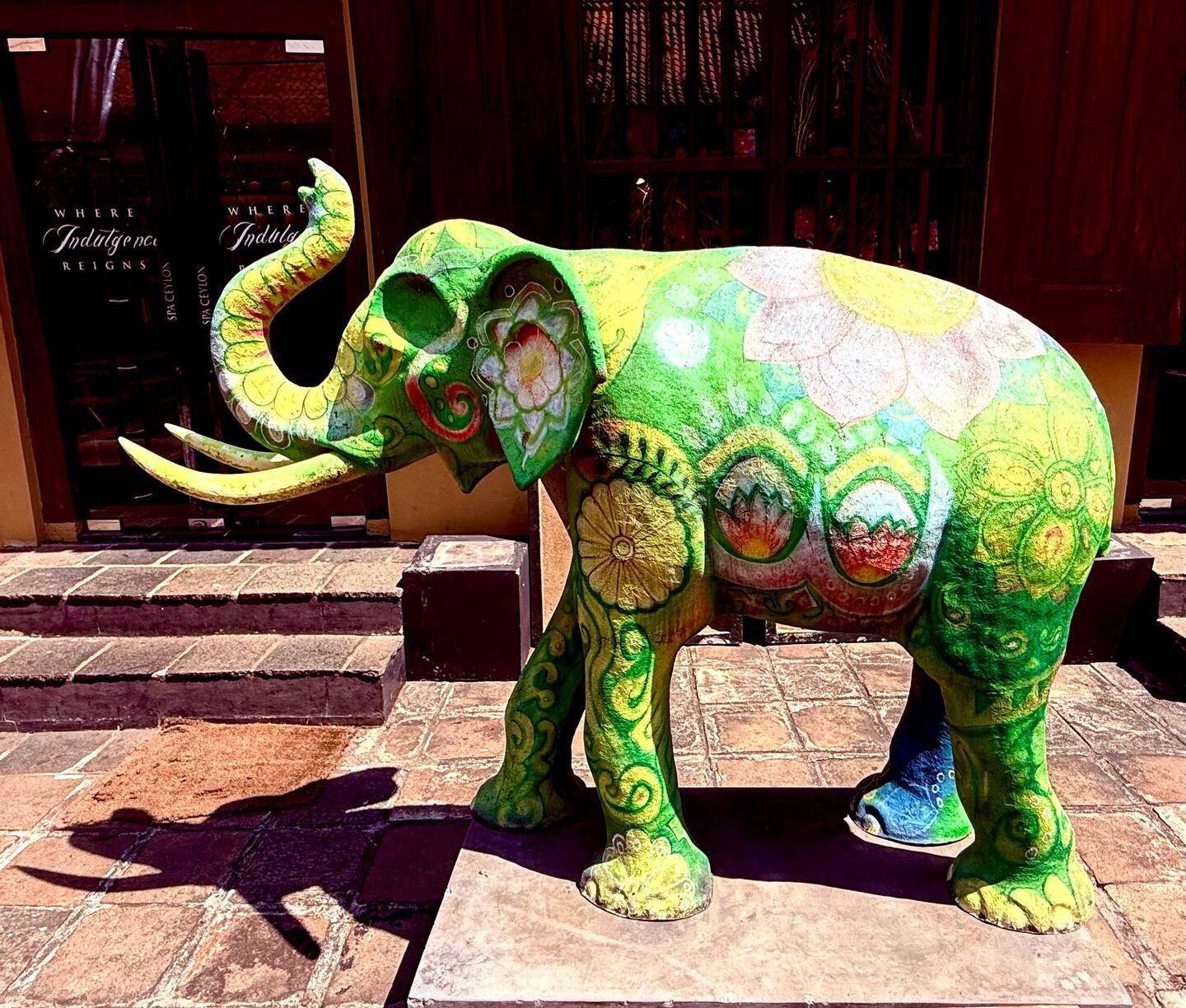 Cute elephant in shopping area