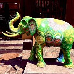 Cute elephant in shopping area