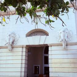Nice Indian elephants on Bank of India building