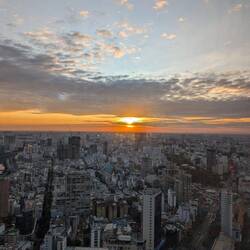 View from the Bitexco Financial Tower