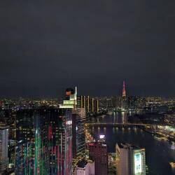 View from the Bitexco Financial Tower