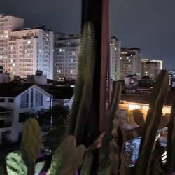 Moon 1984 Rooftop Bar