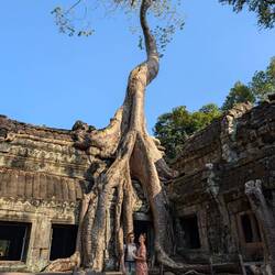 Ta Prohm Temple (aka Tomb Raider)
