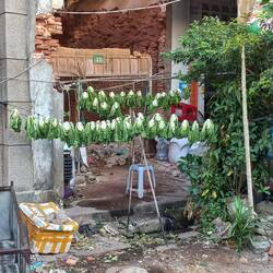 They got a decent vegetable drying operation going ;-)