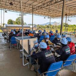 Women sorting pepper corns @ La Plantation