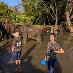 Baanchang Elephant Park