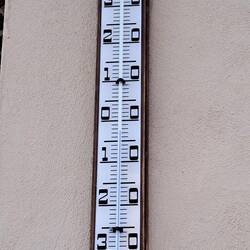 Bella temperatura per andare a passeggio🥶